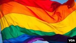 شایا گلدوست به صدای آمریکا: اقلیت‌های جنسی و جنسیتی ایران برای مطالبه حقوق خود تفاوت‌ها را کنار بگذارند
