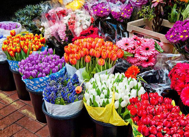 افزایش قیمت گل در آستانه روز مادر