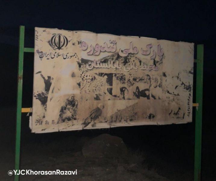 کل و بزها و گرازهای تندوره را از نزدیک دیده اید؟+ تصاویر