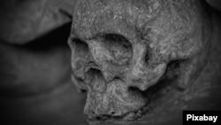 آلمان بقایای اجداد بومیان هاوایی را به زادگاه‌شان بازمی‌گرداند