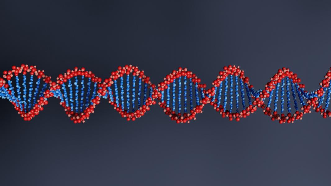 استفاده از DNA چسبنده برای تولید ساختار‌های سازمان یافته