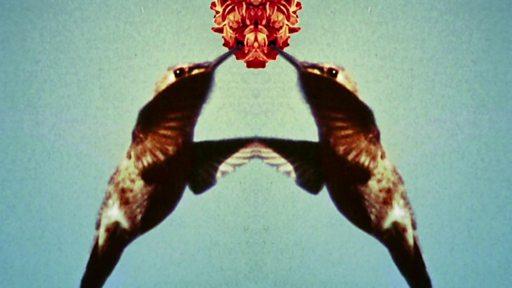 چمدان: آیا می‌شود ایرانی بود اما در ایران نبود؟