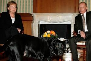 سابقه قدرت‌نمایی پوتین در برابر رهبران جهان، ترساندن مرکل با سگ سیاه - Gooya News