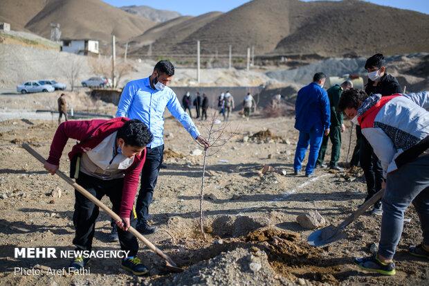 جشن روز درختکاری در دانشگاه رازی کرمانشاه برگزار می‌شود
