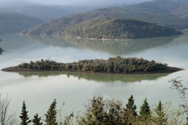  کاهش ۳۴درصدی آبگیری سدهای مازندران؛ سرریز شدن سد البرز در اثر بارش های هفته اول سال نو 