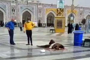 مرگ دومین طلبه حادثه حرم امام هشتم شیعیان؛ وحیدی: حادثه مشهد تروریستی بود - Gooya News