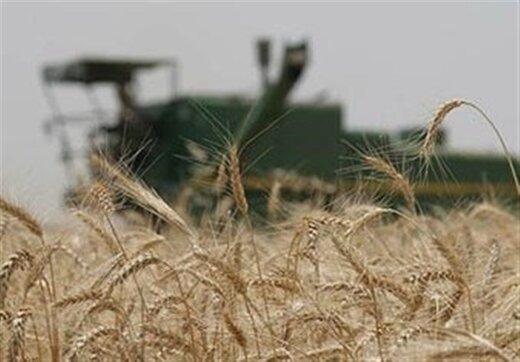 ببینید | پیش‌بینی هولناک؛ کشاورزی در ایران به زودی تعطیل می‌شود