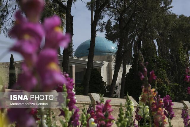 آغاز برنامه‌های بزرگداشت سعدی در شیراز