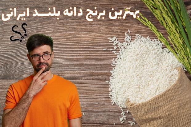 بهترین برنج دانه بلند ایرانی برای تندرستی و سلامت
