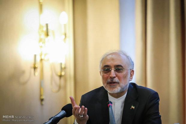 صالحی: اگر موضع منطقی ایران نبود، برجام تاکنون فسخ شده بود
