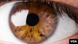 احیای بینایی افراد فوت‌شده در پژوهشی شگفت‌انگیز ؛ آیا مرگ، قابل بازگشت است؟