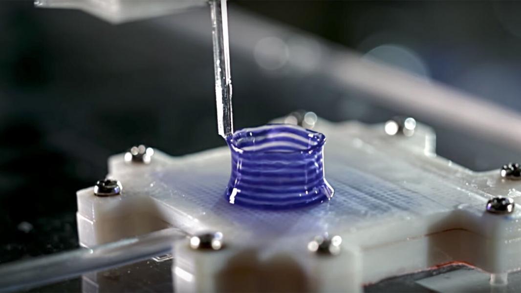 استفاده از نانورشته‌های سلولز برای توسعه هیدروژل‌های خودترمیم شونده