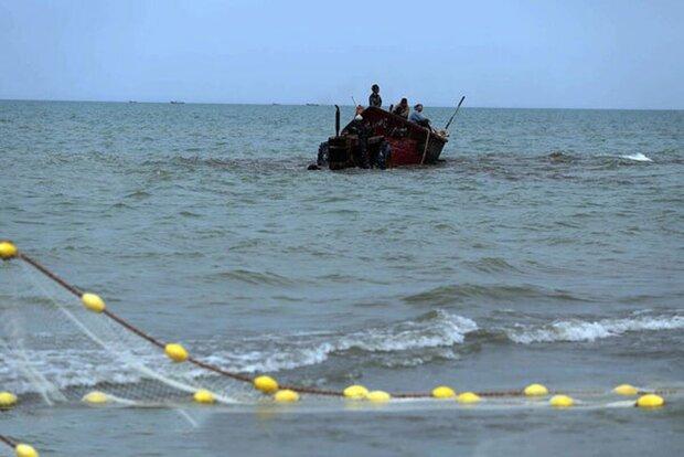صید ماهی حلوا سفید در صیدگاه‌های خوزستان و بوشهر ممنوع شد
