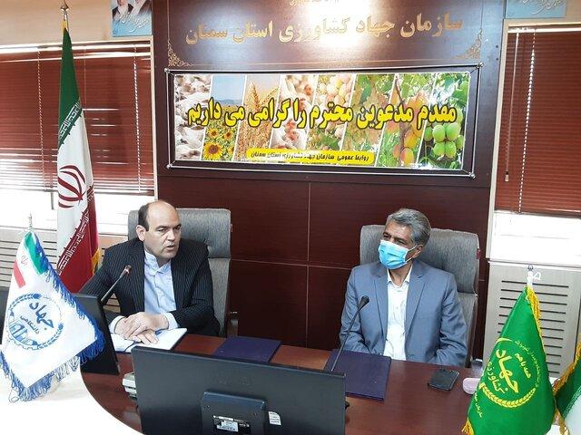 آغاز شمارش معکوس برای افتتاح ایستگاه اصلاح نژاد دام سنگسری