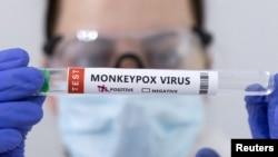 سازمان بهداشت جهانی: هیچ مدرکی در مورد جهش ویروس آبله میمون وجود ندارد
