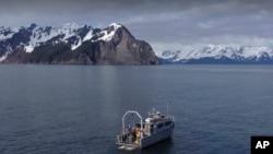 اندازه‌گیری میزان دی‌اکسید کربن اقیانوس‌ها با استفاده از ربات زیردریایی 