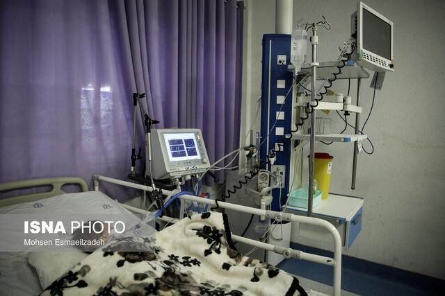 مقابله با باکتری‌های مقاوم بیمارستانی با نانوذرات حاصل از گیاه دارویی خرفه