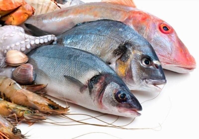 آبزیان در سبد خانوارهای کم‌درآمد پس از مردمی‌سازی یارانه‌ها