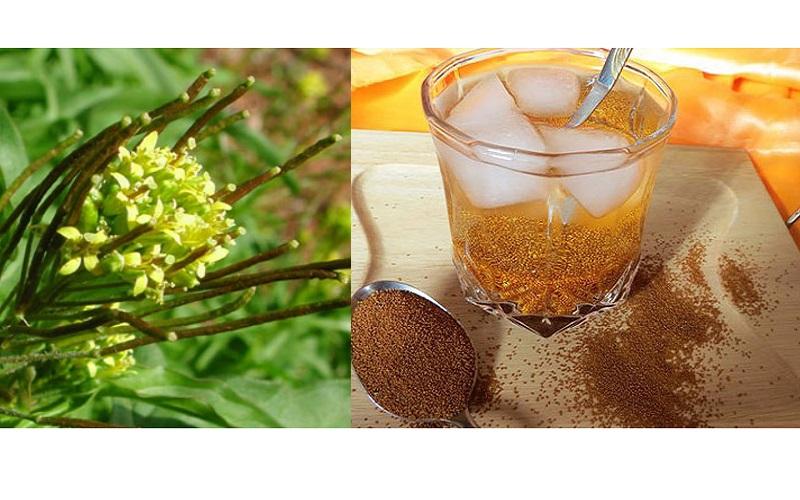 خاکشیر و ۲۸ خاصیت استثنایی که به دردتان می‌خورد