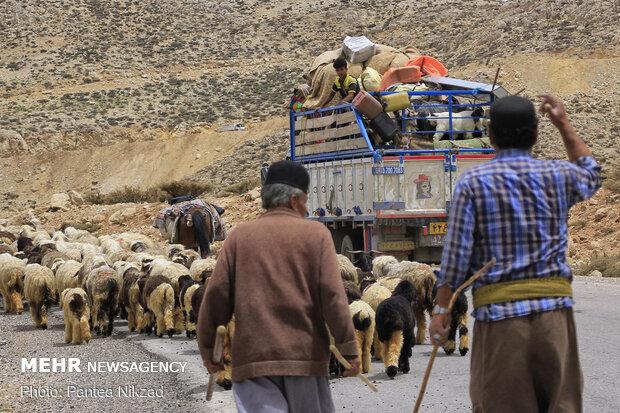 ۲۲۰ میلیارد ریال برای تکمیل زیرساخت‌های مناطق عشایری اختصاص یافت
