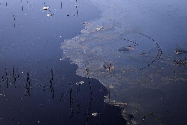 رفع آلودگی نفتی از آب و خاک به روش میکروبیولوژی