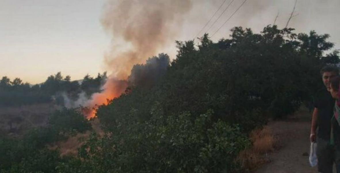 جزئیات حادثه حریق بوستان پردیسان تهران