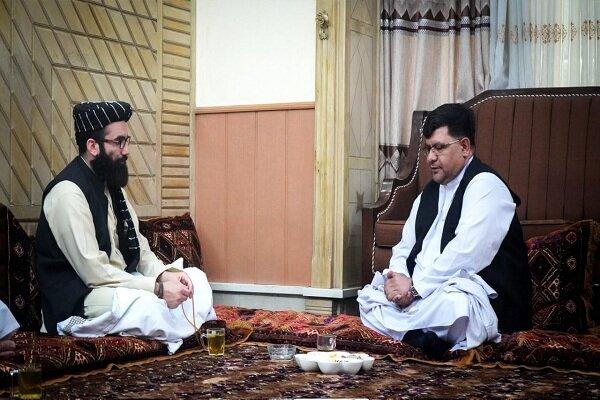 سخنگوی دولت اشرف غنی به افغانستان بازگشت/ دیدار با انس حقانی