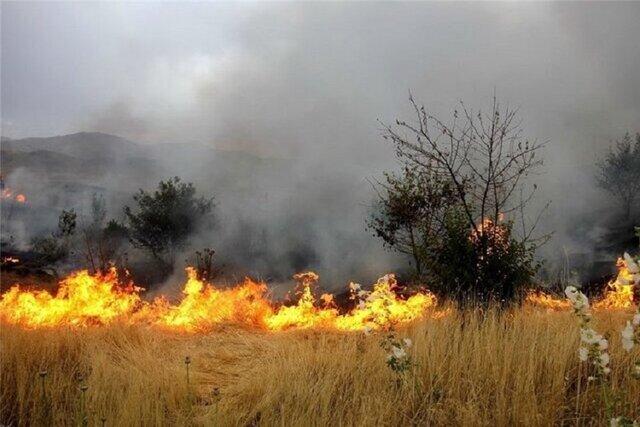 احتمال افزایش تعداد آتش سوزی در مراتع جنگلی و مرتعی خراسان شمالی طی امسال