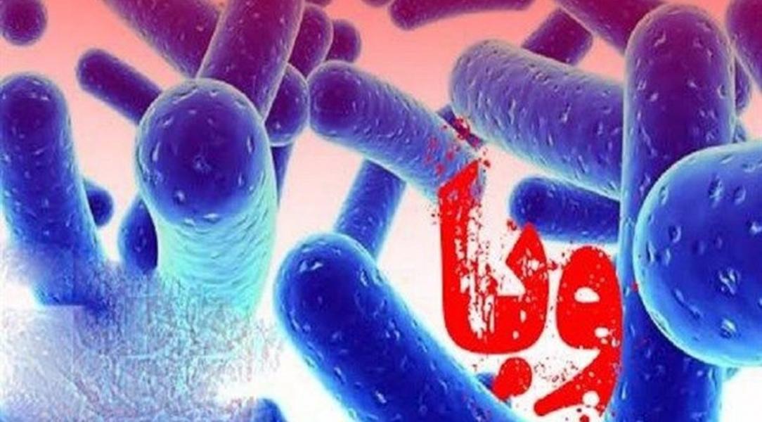 شناسایی قطعی ۵ بیمار مبتلا به وبا در کشور
