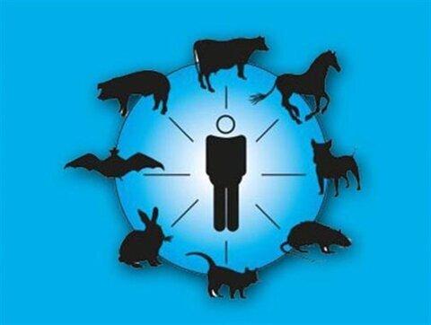 بیش از ۷۵ درصد بیماری‌های نوپدید عفونی، "زئونوز" هستند