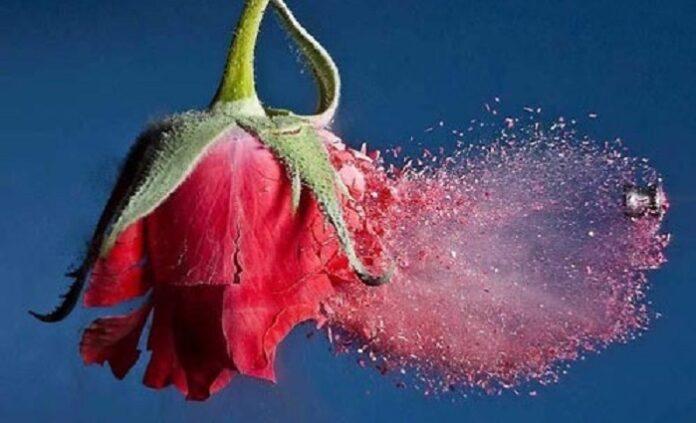 خنده های مستانه بر پیکره های خون آلود؛ خاموشی و بی انگاری ننگین است