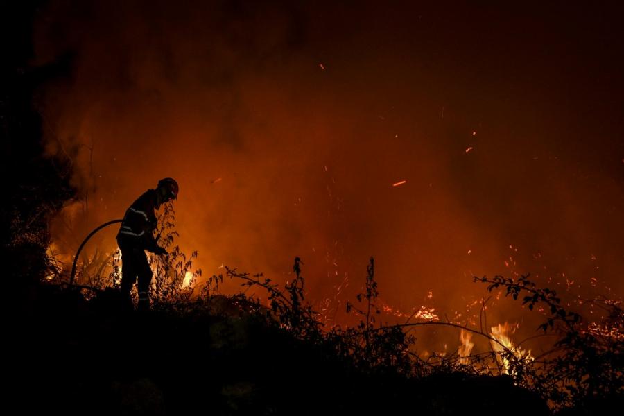 موج گرمایی بی‌سابقه در جهان ــ گوترش: بشر در معرض «خودکشی دسته‌جمعی» است