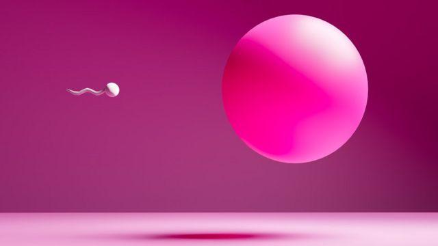 آیا تعداد اسپرم مردان در دنیا رو به کاهش است؟