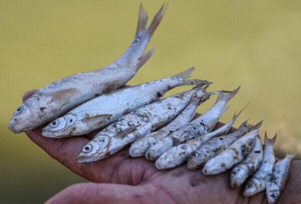بحران خشکسالی؛  خشک شدن رودخانه قزل‌اوزن
