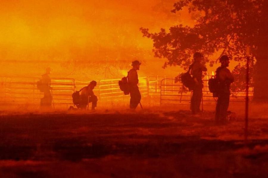 وقوع آتش سوزی گسترده در کالیفرنیا