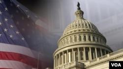 واکنش قانونگذاران آمریکایی به عملیات منجر به کشته شدن ایمن الظواهری