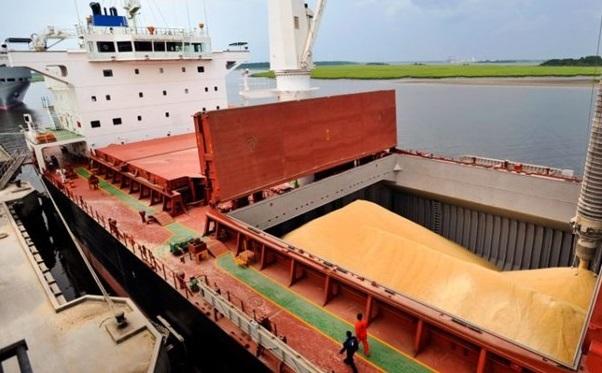 اولین محموله غلات اوکراین به ترکیه رسید