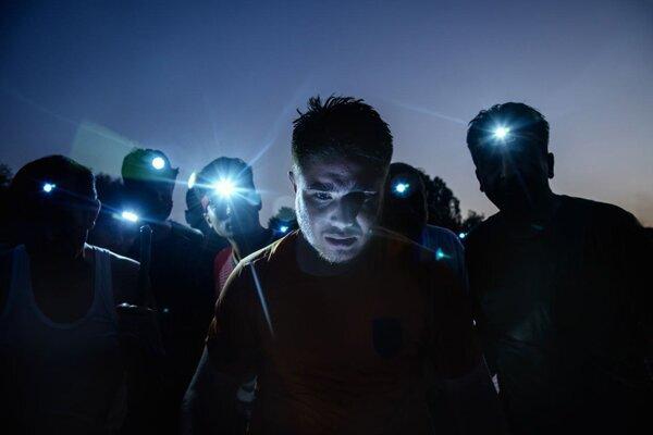 حمایت مجیدی و میرکریمی از «در آغوش درخت» / ساخت موسیقی آغاز شد