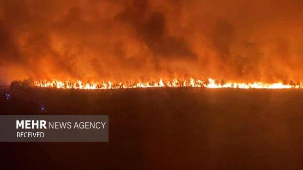 تالاب امیرکلایه لاهیجان دچار حریق شد