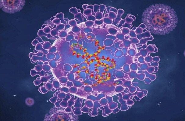 درمان پیوند مدفوع می تواند موجب انتقال آبله میمونی شود