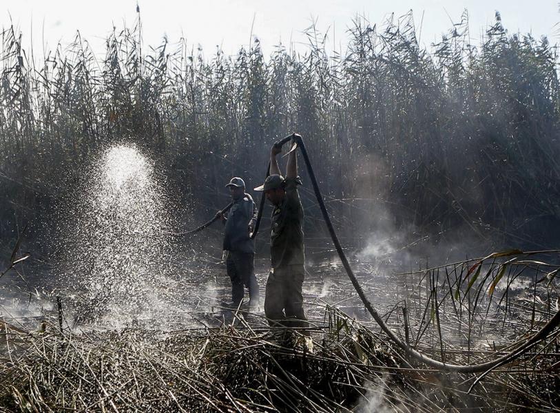 آتش منفعت‌طلبی بر خرمن تالاب‌های گیلان / برخورد دستگاه قضا با متهمان آتش سوزی