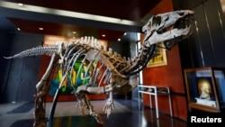 فسیل دایناسور دوره ژوراسیک در پاریس به حراج گذاشته می‌شود