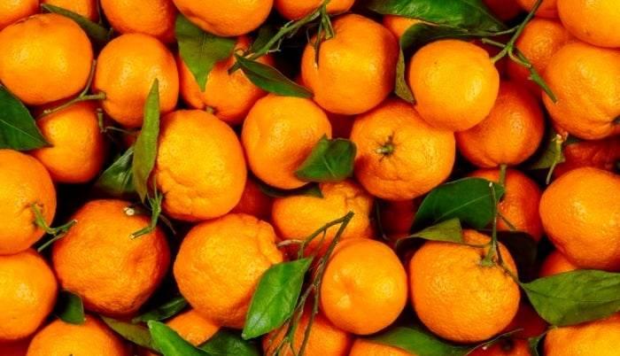 خواص باورنکردنی نارنگی برای ۱۰۰ نوع بیماری