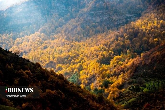 پاییز هزار رنگ در جنگل‌های گلستان