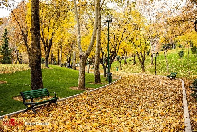 پاییز هفت رنگ در تهران