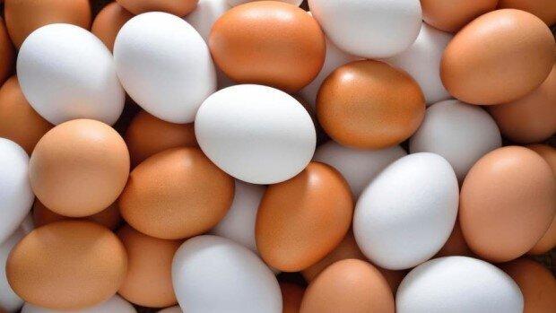 ارسال ۲۴ هزار تن تخم مرغ از مبدا بیرجند به نقاط مختلف کشور