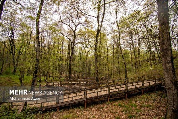 مدیریت «النگدره» و «ناهارخوران» به شهرداری گرگان واگذار شد