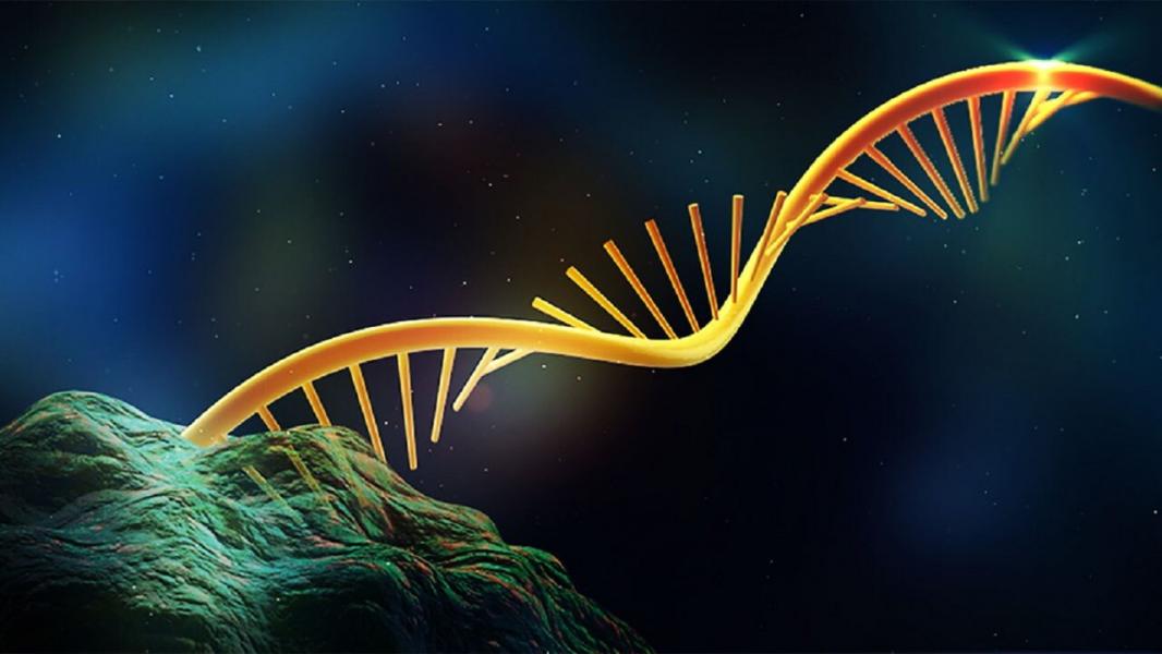 طراحی نانوذراتی که mRNA را وارد لوزالمعده می‌کنند