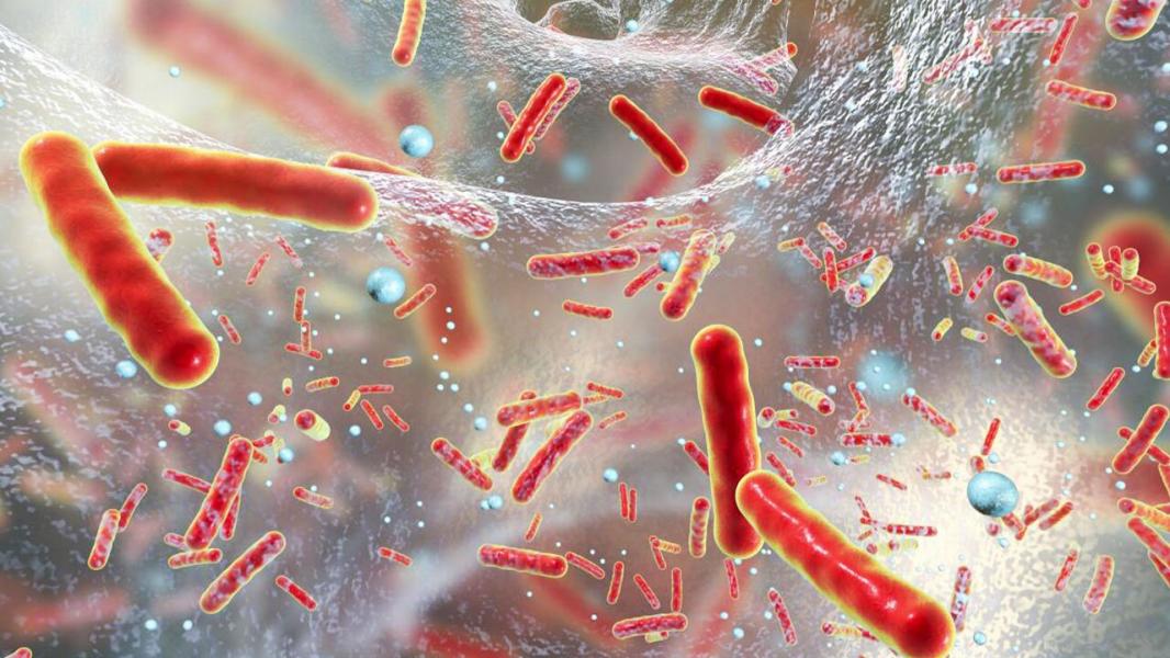 نانوذرات نقره اثربخشی آنتی‌بیوتیک را افزایش می‌دهند