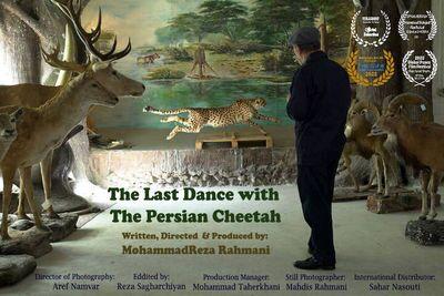 «آخرین رقص با یوزپلنگ ایرانی» برنده بهترین فیلم روایی از جشنواره فیلم کوتاه آمریکا شد